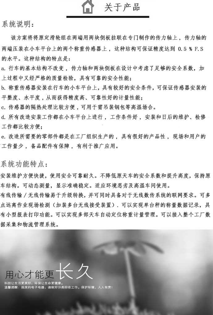 行車秤系統(tǒng)說明、行車秤系統(tǒng)說明圖片 行車秤系統(tǒng)說明、行車秤系統(tǒng)說明圖片