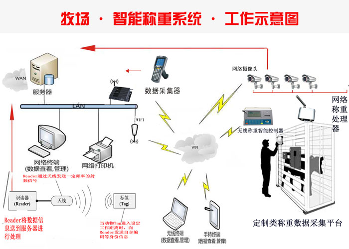 養殖牧場RFID 智能稱重管理系統 養殖牧場RFID 智能稱重管理系統