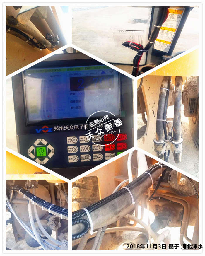 11.3雙開飼養有限公司 11.3雙開飼養有限公司